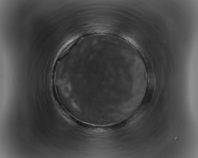 X0000083570390200703021753
