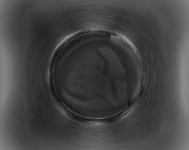 X0000083570391200703021752