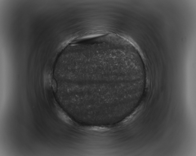 X0000083570393200703021752
