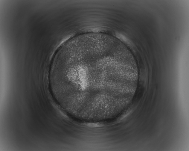 X0000083570394200703021752