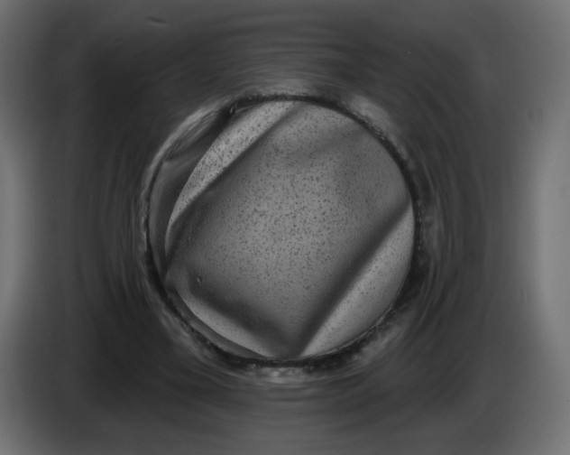 X0000083570395200703021752