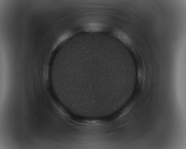 X0000083570396200703021752