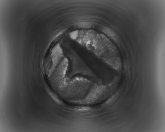 X0000083570398200703021752