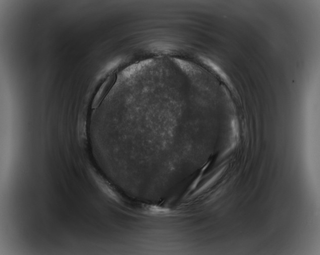 X0000083570399200703021752