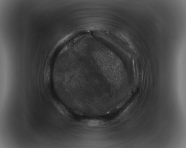 X0000083570400200703021752
