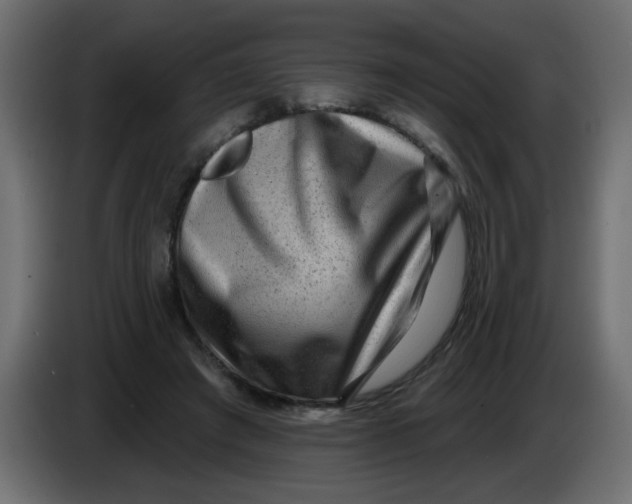 X0000083570401200703021752