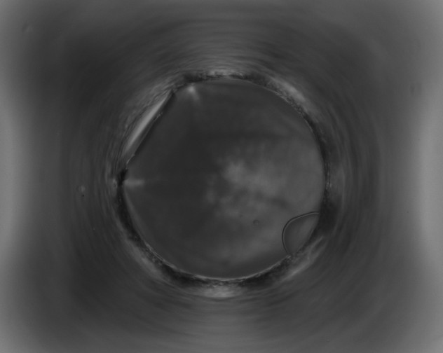 X0000083570402200703021752