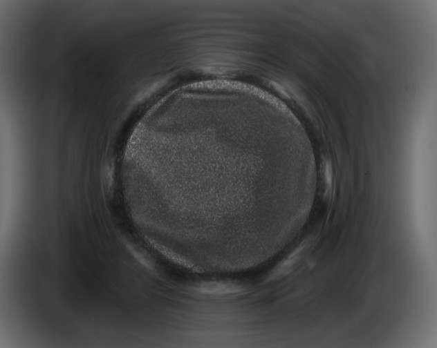 X0000083570404200703021752