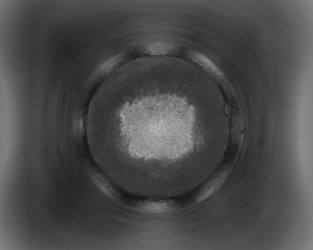 X0000083570405200703021752
