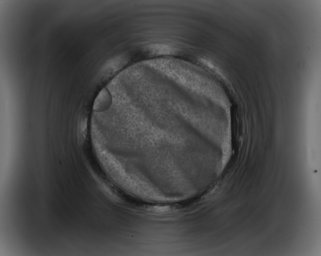 X0000083570406200703021752