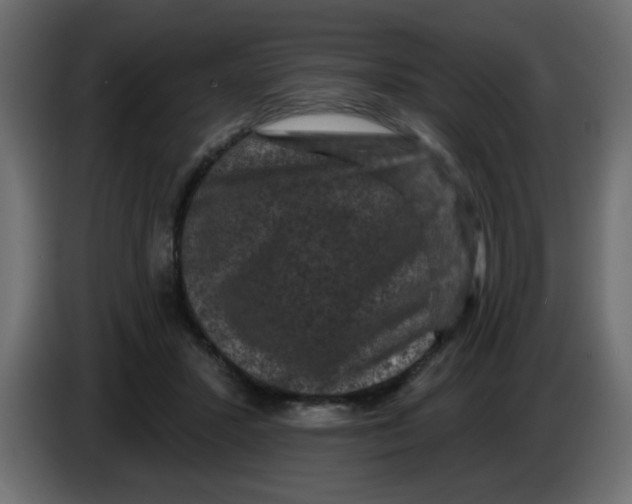 X0000083570407200703021752