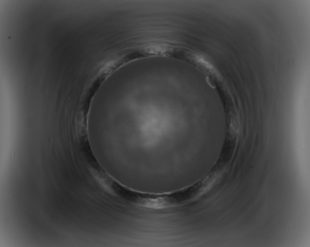X0000083570411200703021752