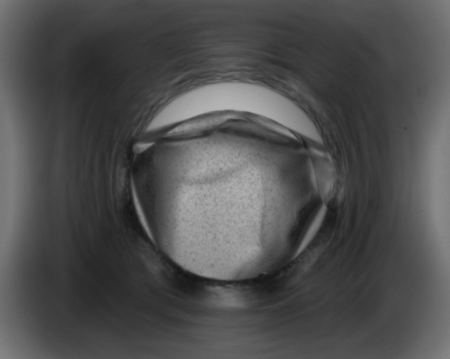 X0000083570417200703021752