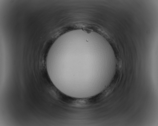 X0000083570418200703021752