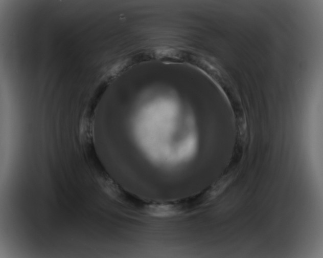 X0000083570419200703021752