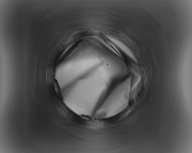 X0000083570421200703021752