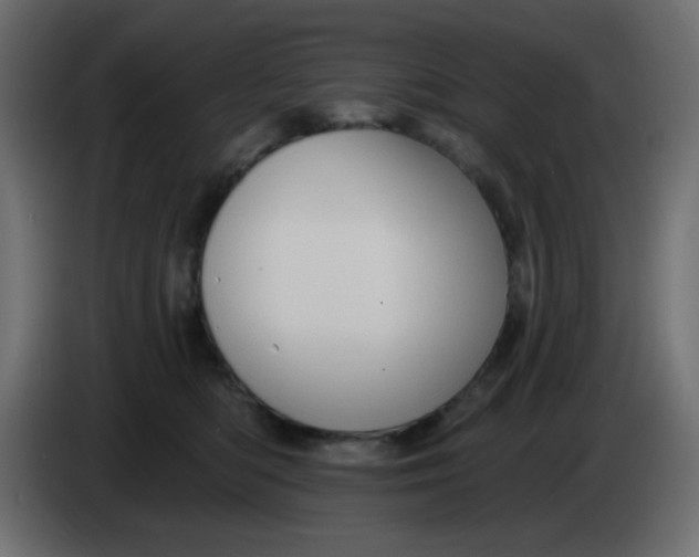 X0000083570422200703021752