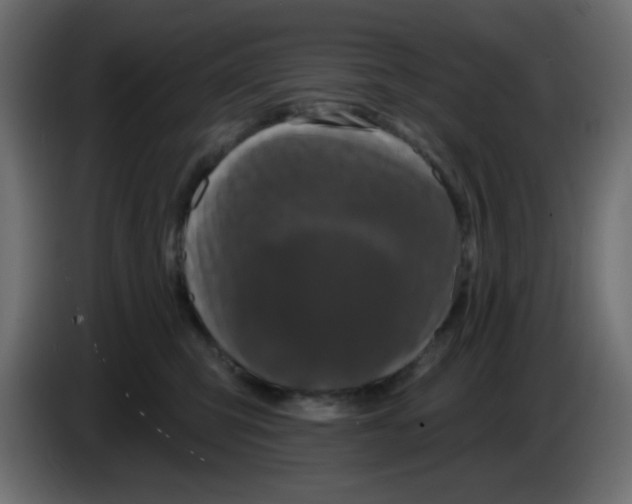 X0000083570423200703021752