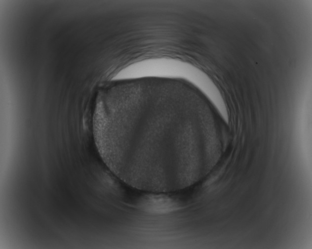 X0000083570424200703021752