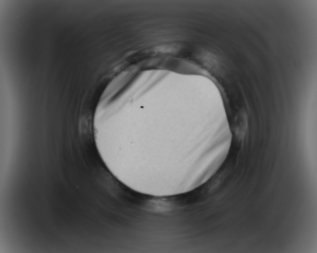 X0000083570425200703021752