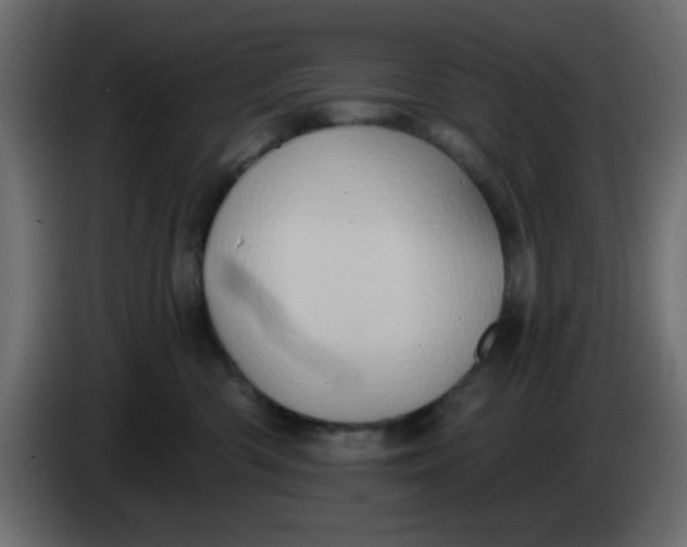 X0000083570426200703021752
