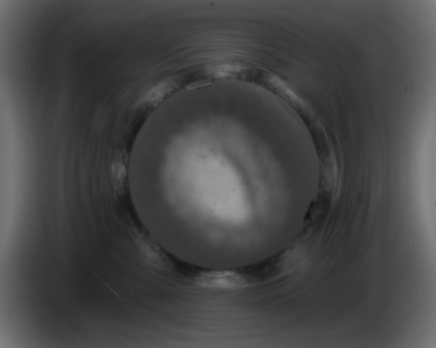 X0000083570427200703021752