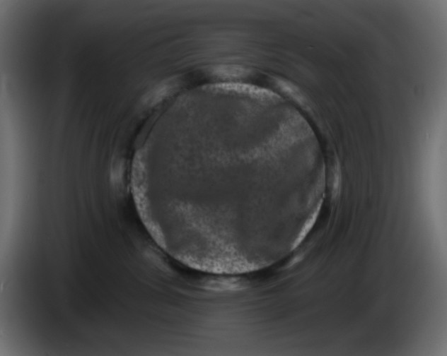 X0000083570428200703021752