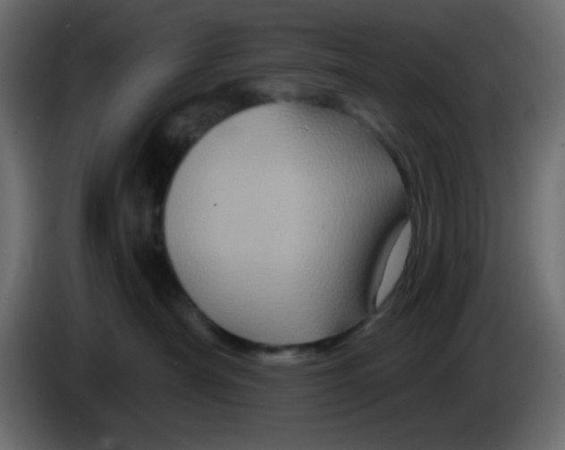 X0000083570430200703021752