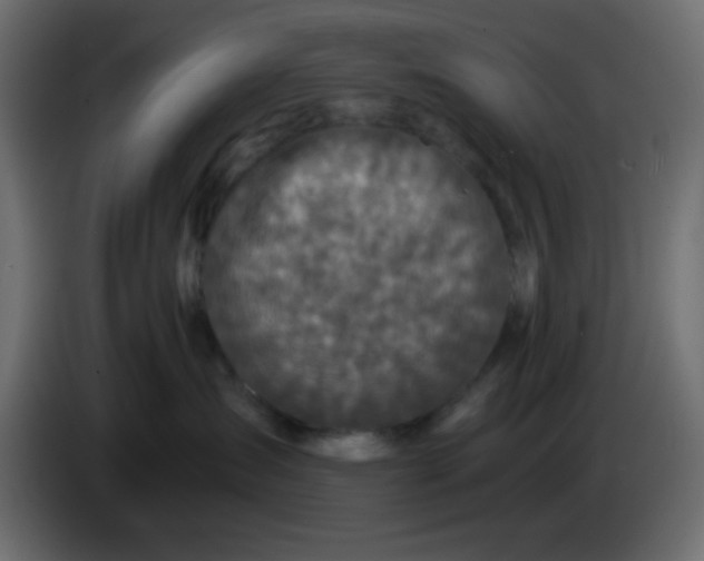 X0000083570431200703021752