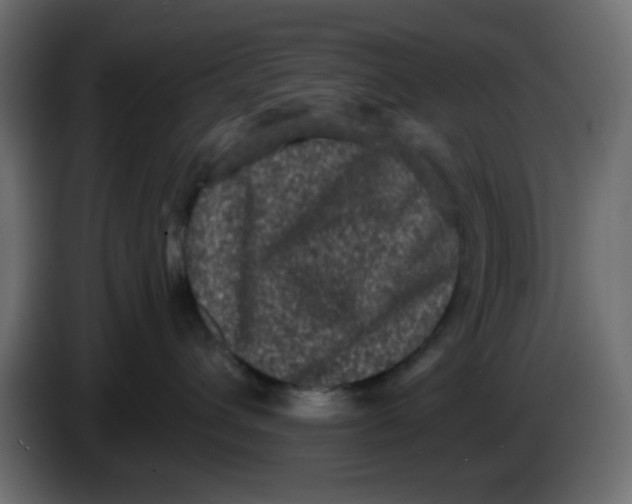 X0000083570432200703021752