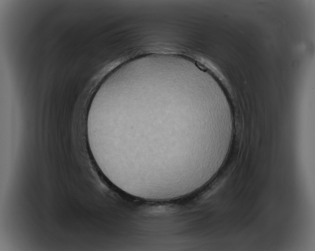 X0000083570433200703021751