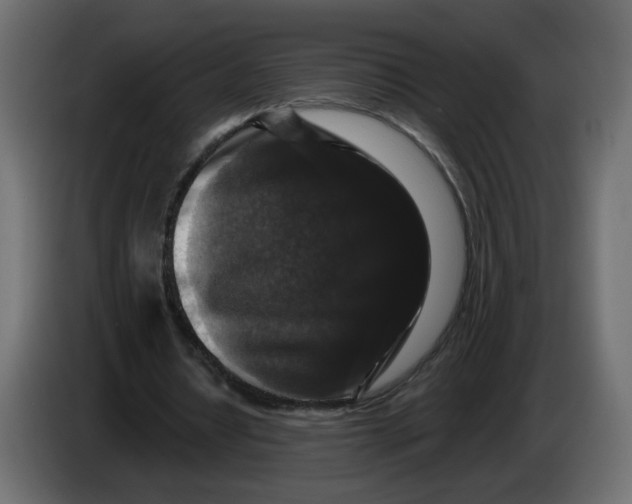 X0000083570434200703021751