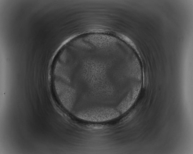 X0000083570435200703021751