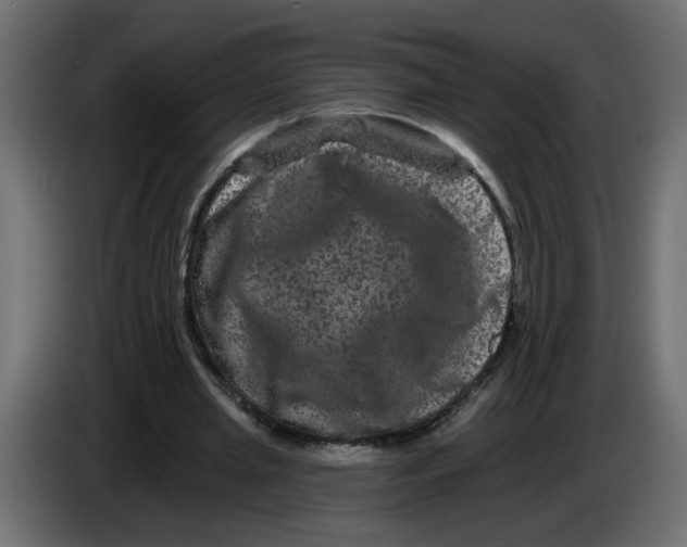 X0000083570437200703021751