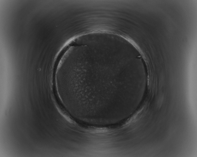 X0000083570438200703021751
