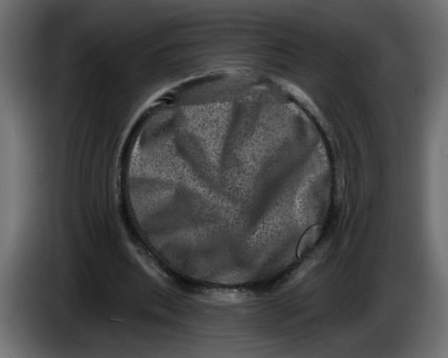 X0000083570439200703021751