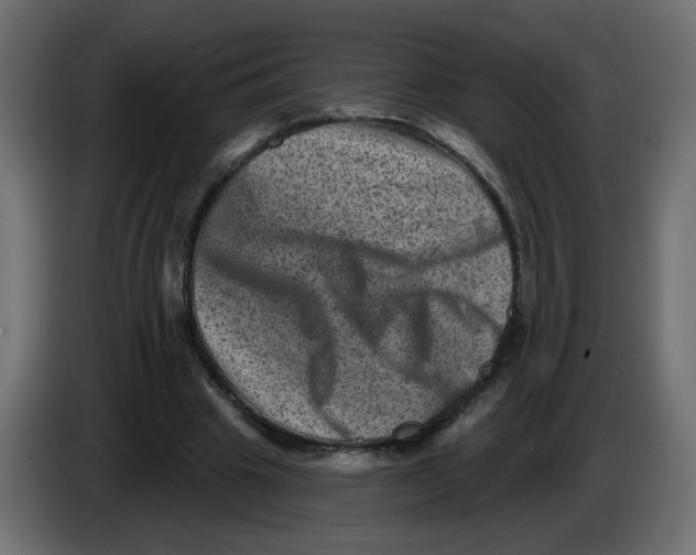 X0000083570441200703021751