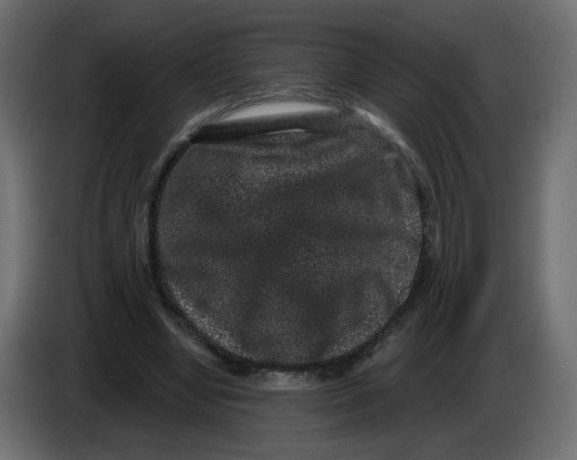 X0000083570442200703021751