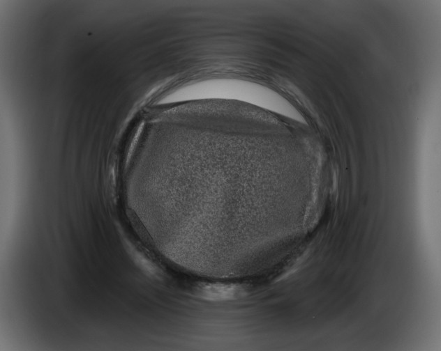 X0000083570444200703021751