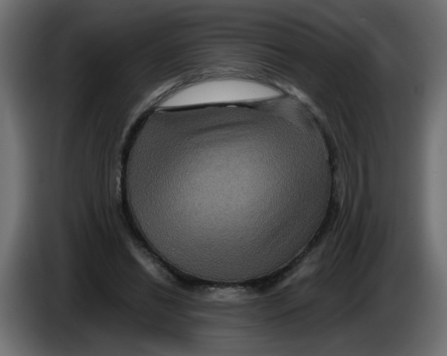 X0000083570446200703021751