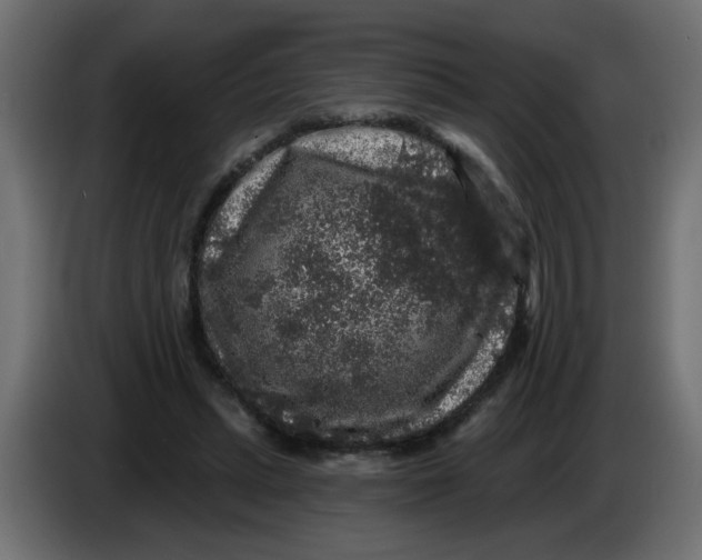 X0000083570447200703021751