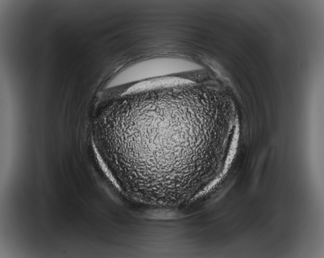 X0000083570449200703021751