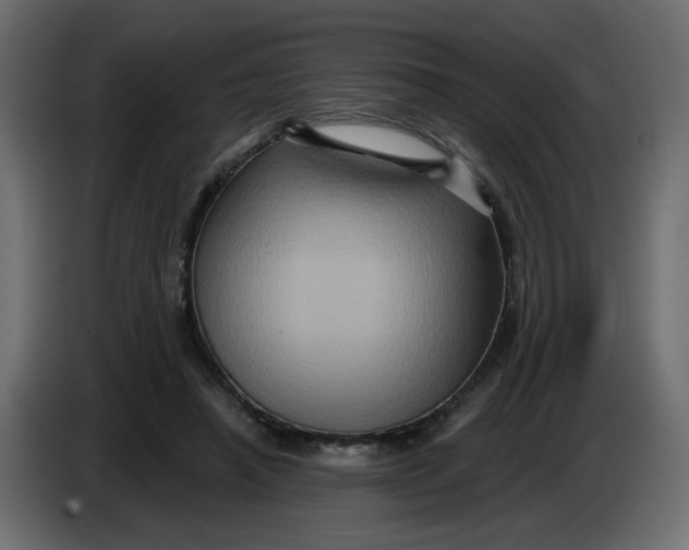 X0000083570450200703021751