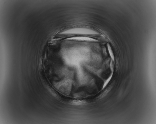 X0000083570453200703021751