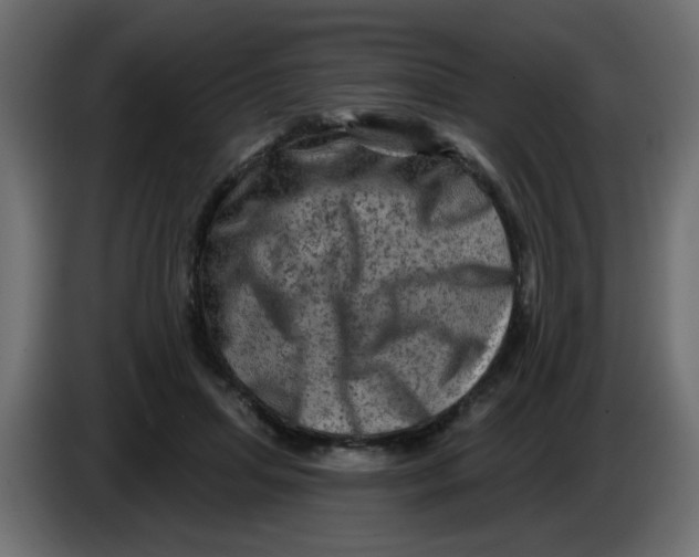 X0000083570455200703021751
