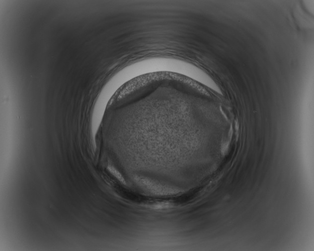 X0000083570456200703021751