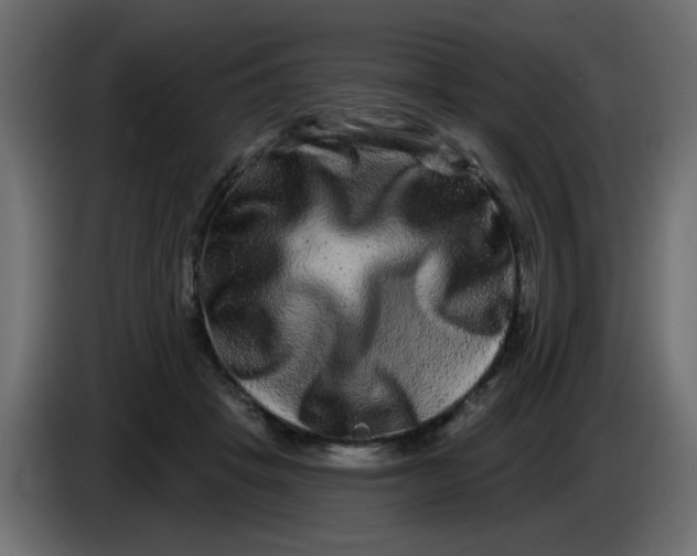 X0000083570457200703021751
