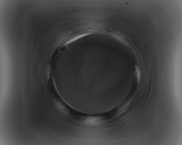 X0000083570458200703021751