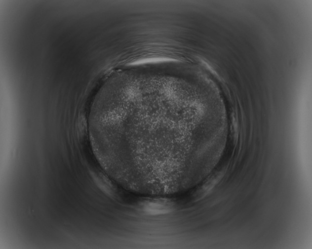 X0000083570459200703021751