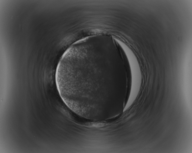 X0000083570462200703021751